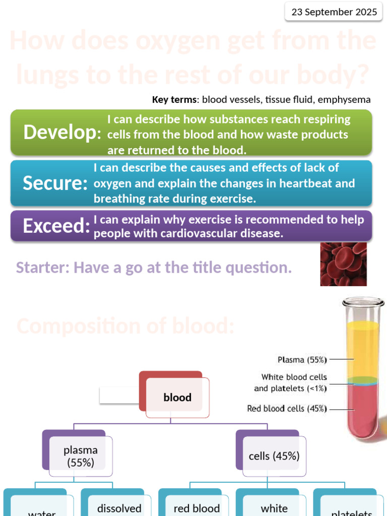 8Cc Getting Oxygen RAP | PDF | Blood | Blood Vessel