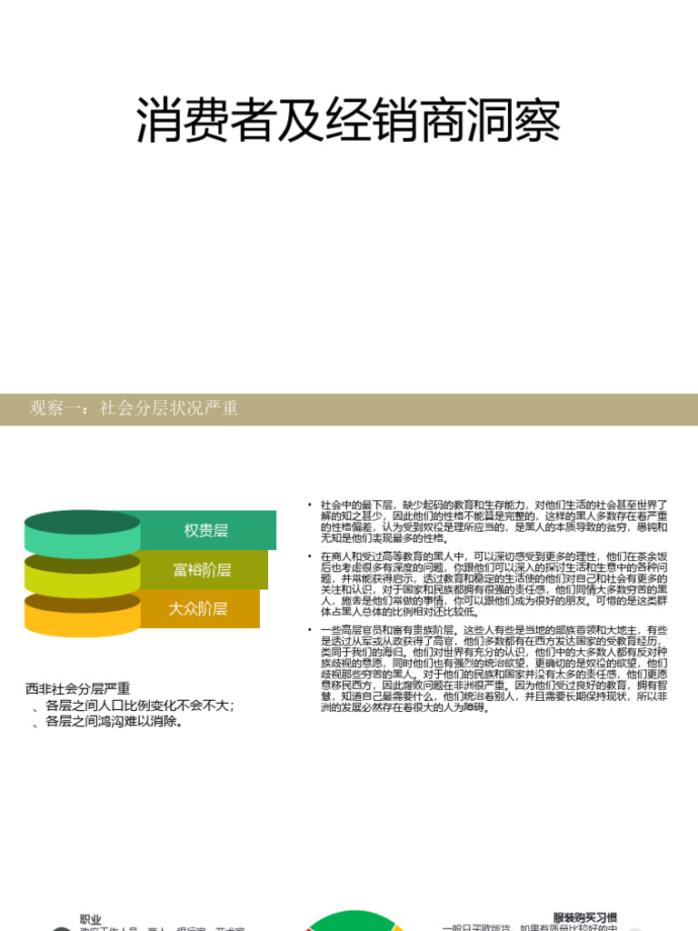 消费者及经销商洞察| PDF, image size:768x1024