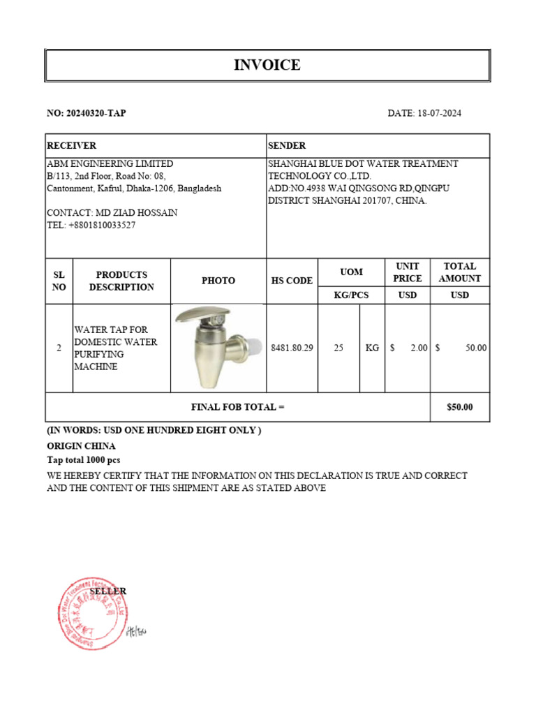 TAP Invoice | PDF