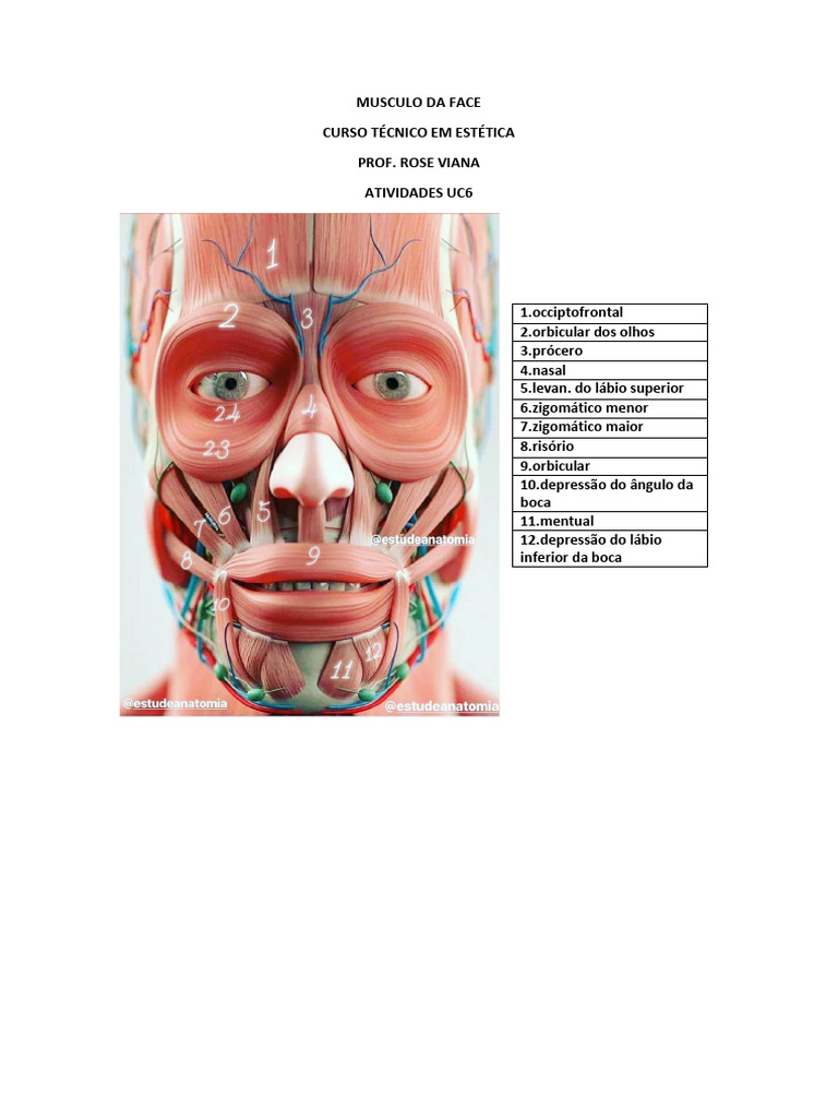 Músculos Faciais: Risório e Prócero | PDF