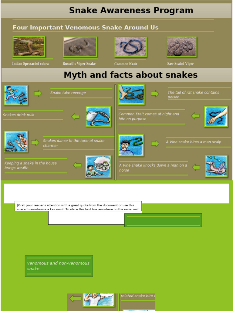 Snake Awareness and Safety Guide | PDF | Snake | Venomous Snakes