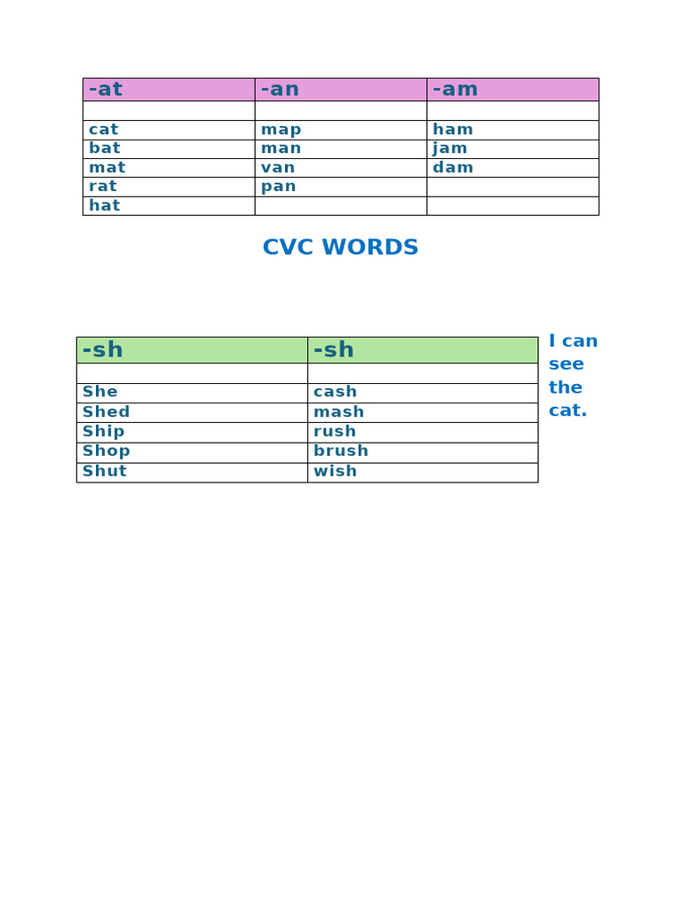CVC and Word Families for Kids | PDF
