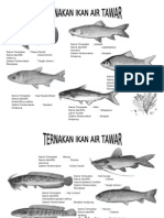KHB PERTANIAN TING 2 - Ternakan Ikan Air Tawar (No Frame)