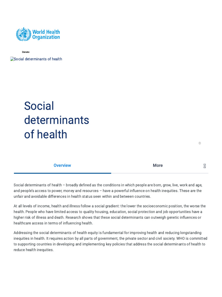 Social Determinants of Health | PDF | Health Equity | Economies