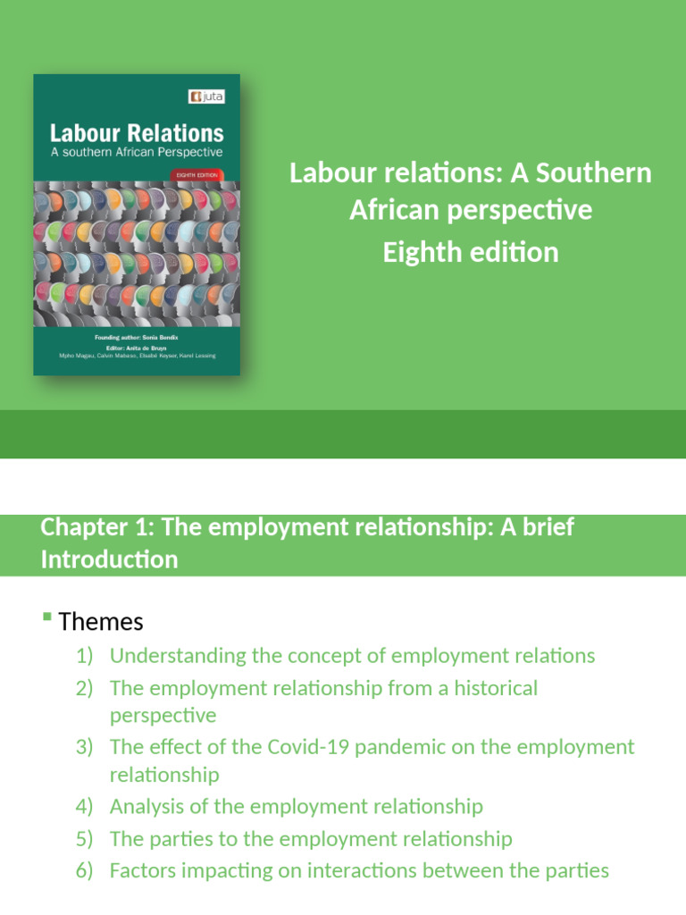 Southern African Labour Relations Overview | PDF | Employment | Labour ...