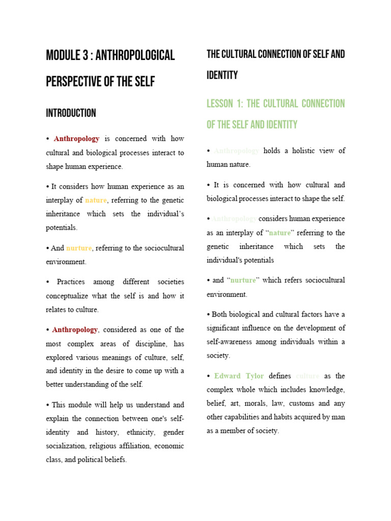 Anthropological Views on Self and Identity | PDF | Neuron | Nervous System