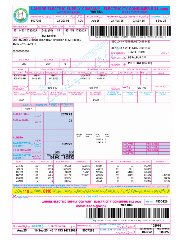 Web Bill Summary for AMI Meter 5007283 | PDF