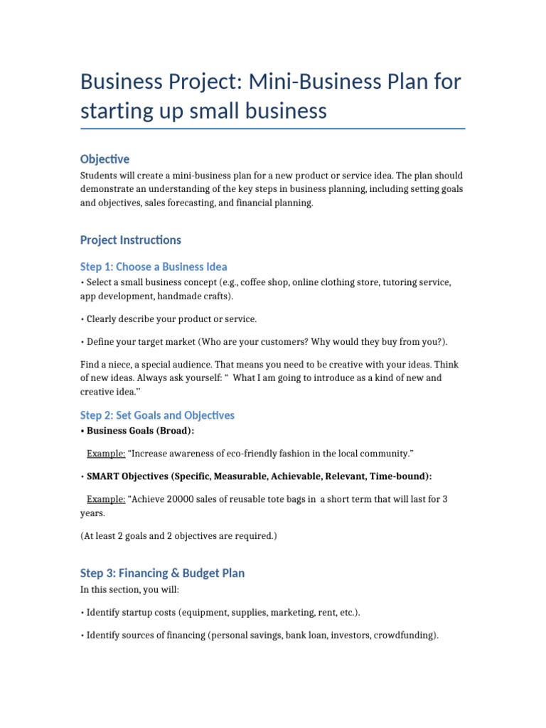 Mini-Business Plan Project Guide | PDF | Budget | Business