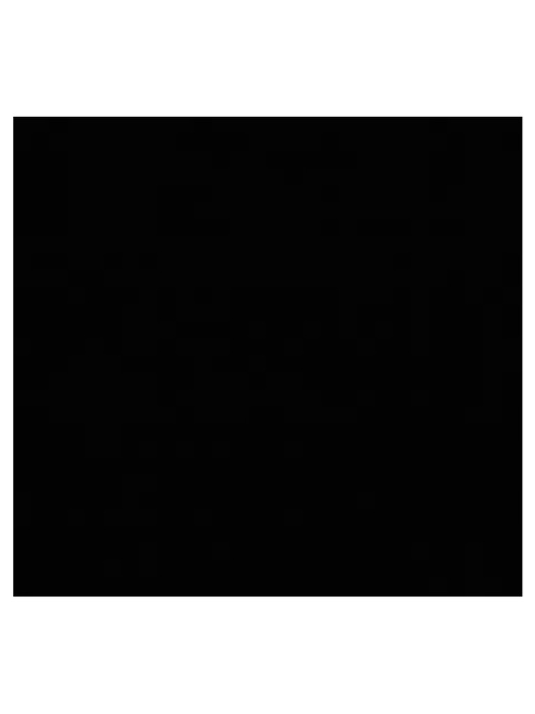 Black Screen | PDF
