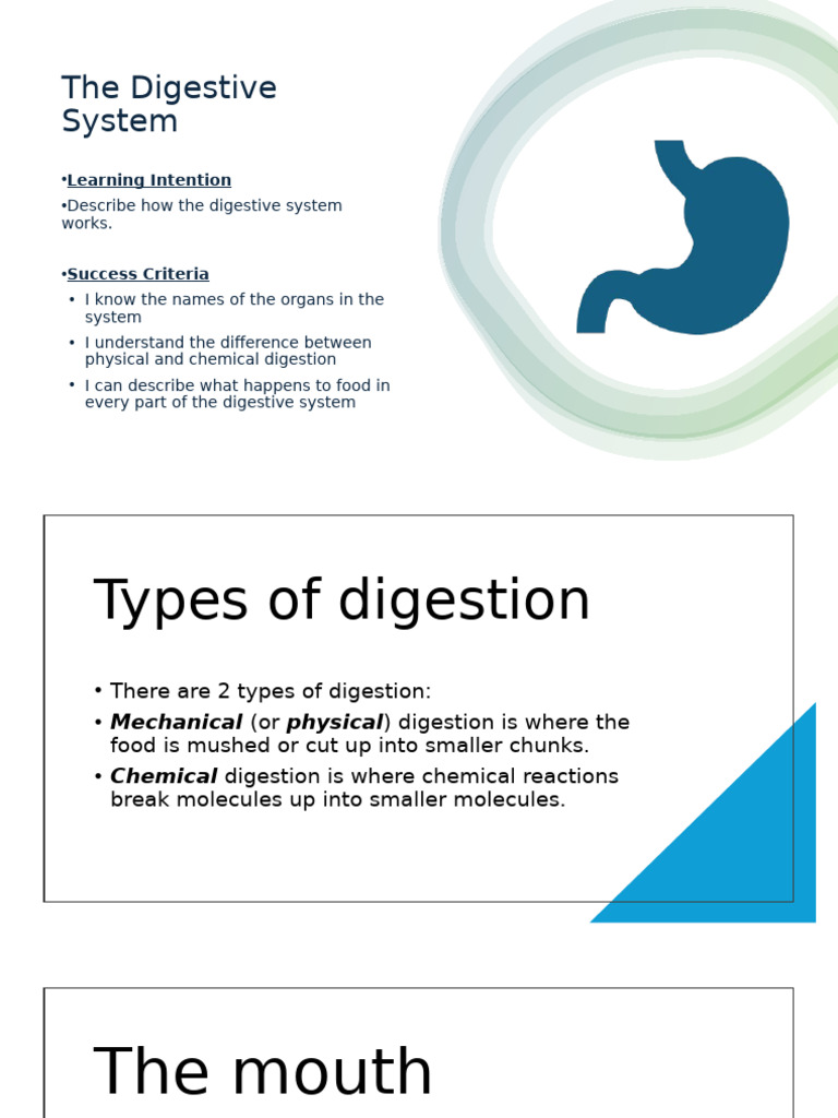Understanding the Digestive System | PDF | Digestion | Small Intestine