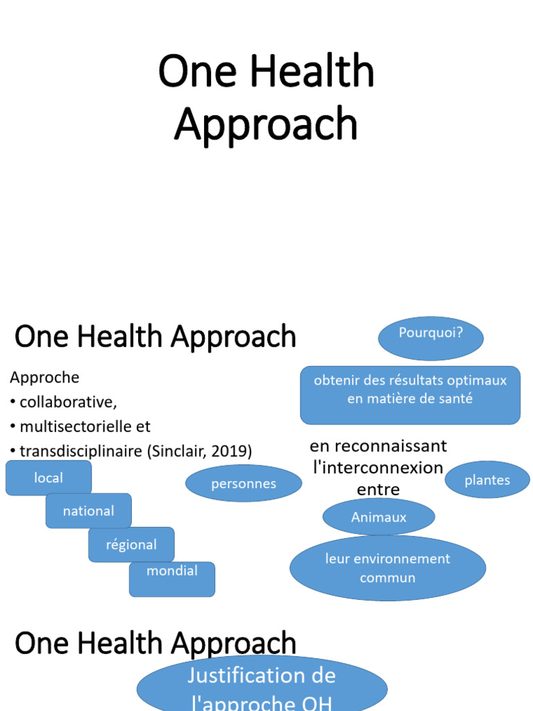 Approche One Health : Santé et Environnement | PDF | Médecine ...
