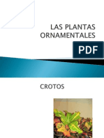 LAS PLANTAS ORNAMENTALES