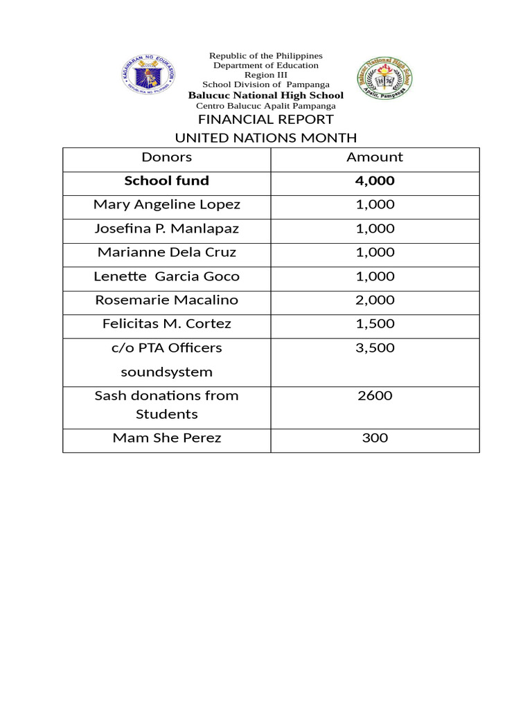 Philippines School Financial Report | PDF