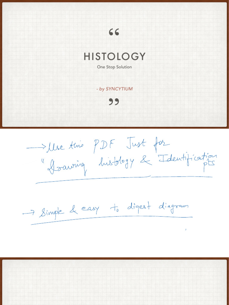 Histology - One Stop Solution by SYNCYTIUM-1 | PDF