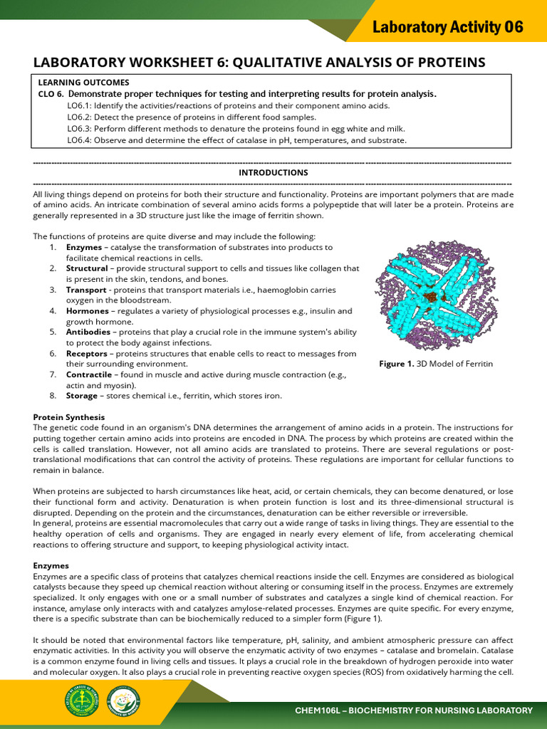Protein Analysis Techniques in Biochemistry | PDF | Proteins | Enzyme