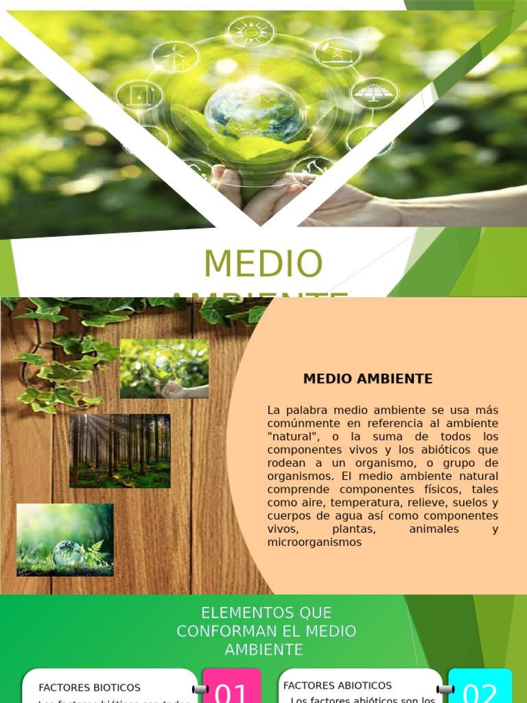 Componentes y Problemas del Medio Ambiente | PDF | Entorno natural ...