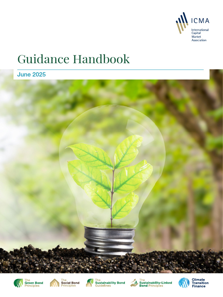 ICMA Social Bond Principles 2025 Guide | PDF | Bonds (Finance ...