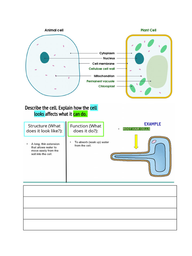 3 | PDF