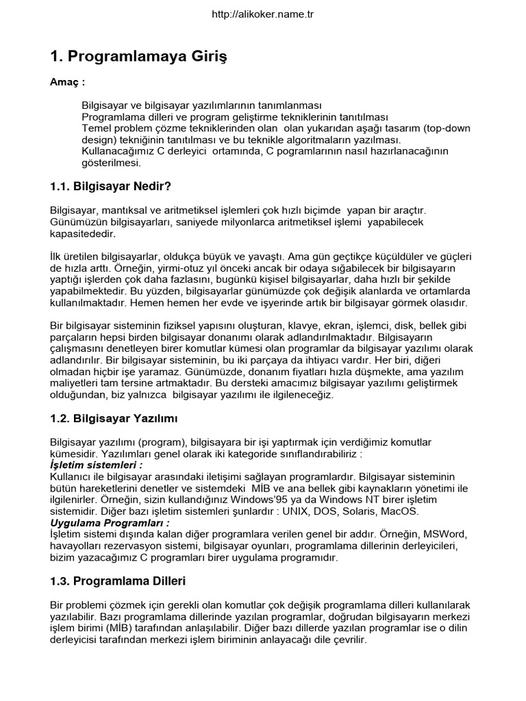Programlamaya Giris | PDF
