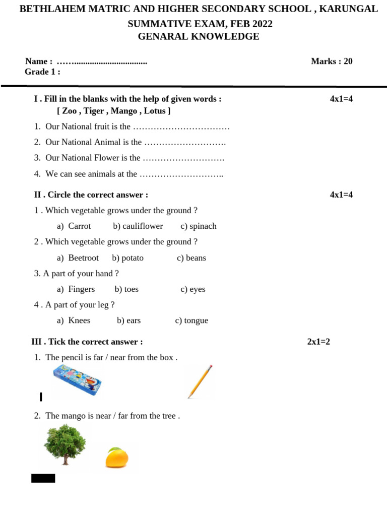 Grade 1 General Knowledge Exam 2022 | PDF