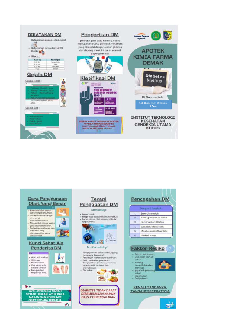 Leaflet DM | PDF