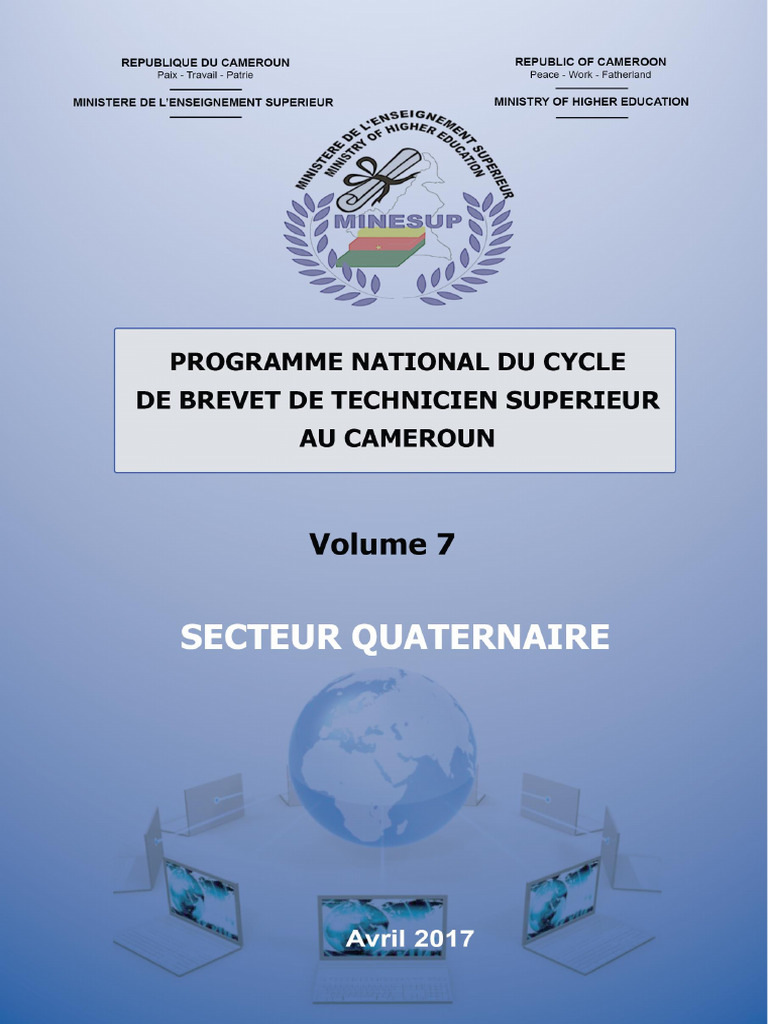 Formation en Réseaux et Sécurité IT | PDF | Télécommunications ...
