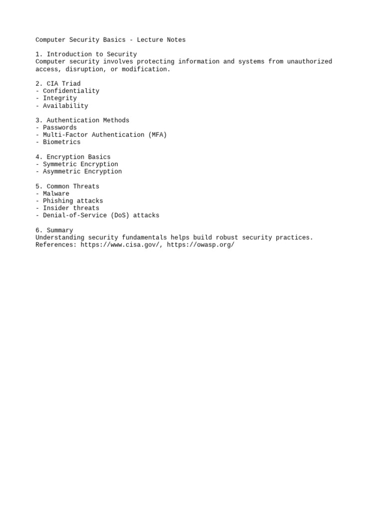 Computer Security Basics | PDF