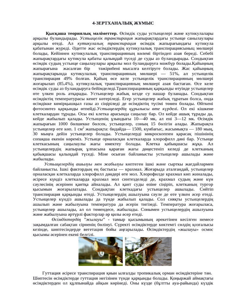 Әнші Алсумен онлайн секс