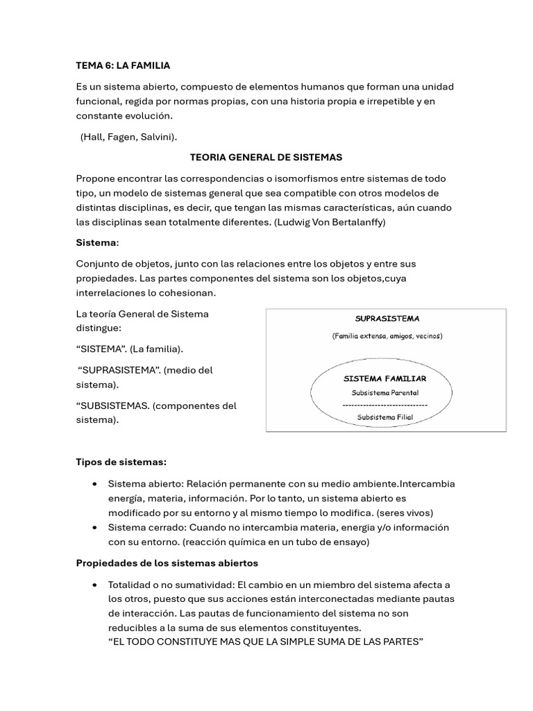 temas 6- 9 | PDF | Sistema