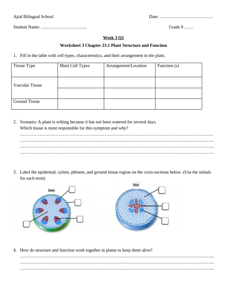 Worksheet 3 W3 Q1 CH 23.1 | PDF