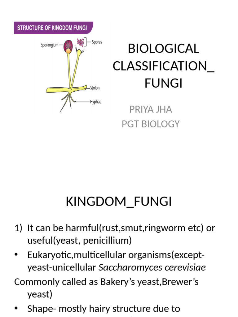 Fungal Classification Overview | PDF | Sexual Reproduction | Fungus