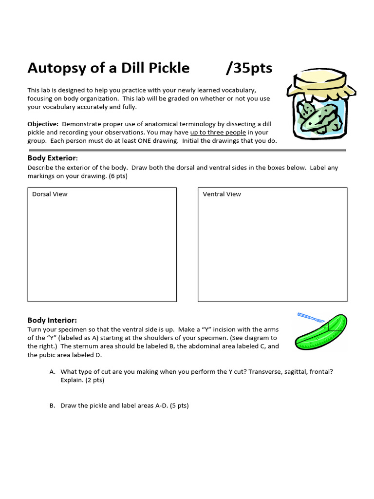 Autopsy of A Dill Pickle | PDF | Anatomical Terms Of Location | Autopsy