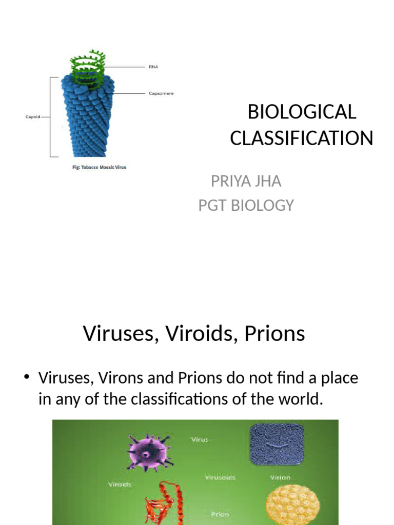Viruses, Viroids, and Prions Explained | PDF | Virus | Dna