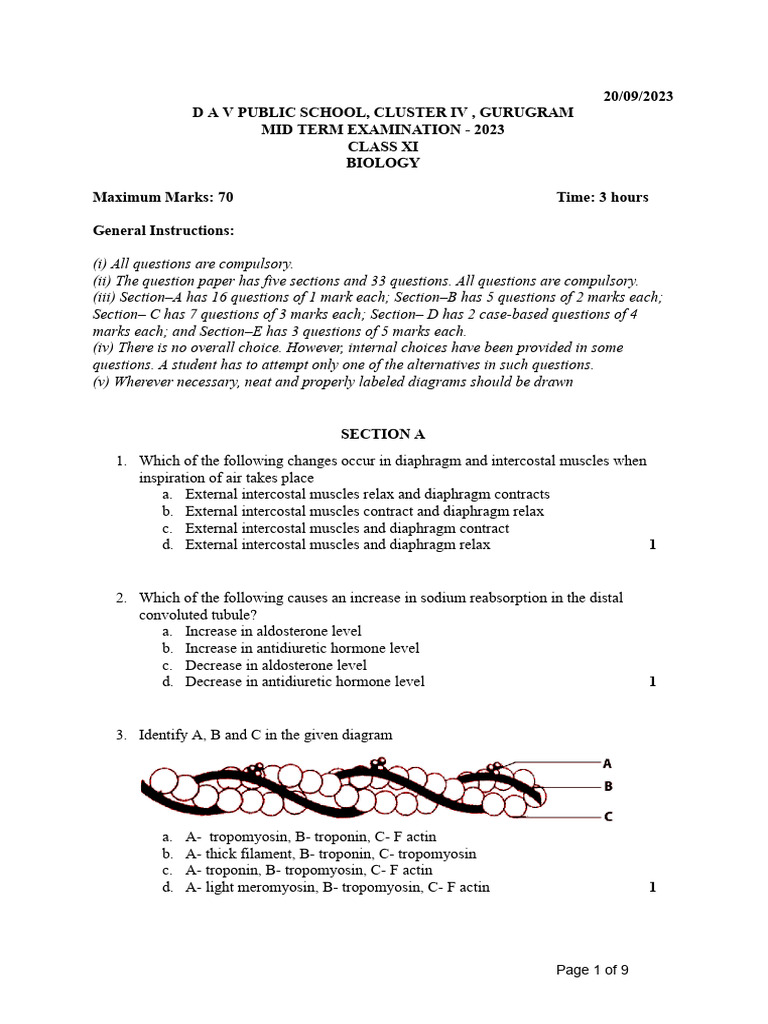 Class XI Biology Mid Term Exam 2023 | PDF | Biology