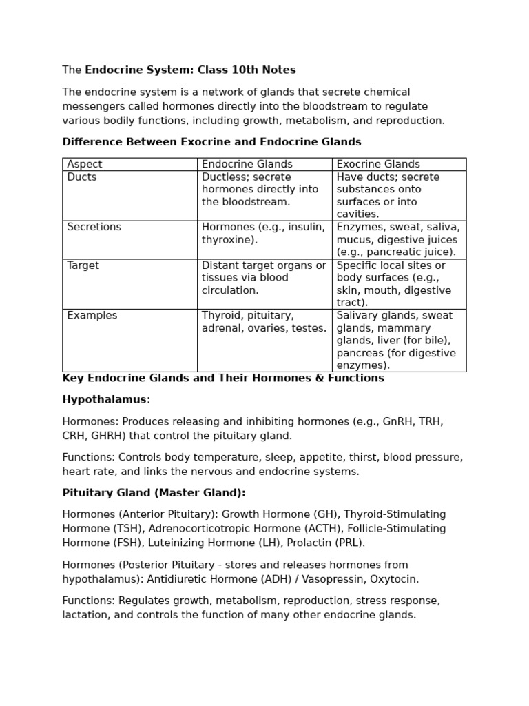 Class 10 Endocrine System Notes | PDF | Endocrine System | Hormone
