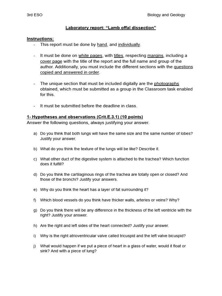 Lamb Offal Dissection Report Guide | PDF | Heart Valve | Medical ...