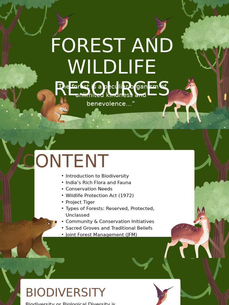 India's Forest and Wildlife Conservation | PDF | Biodiversity ...