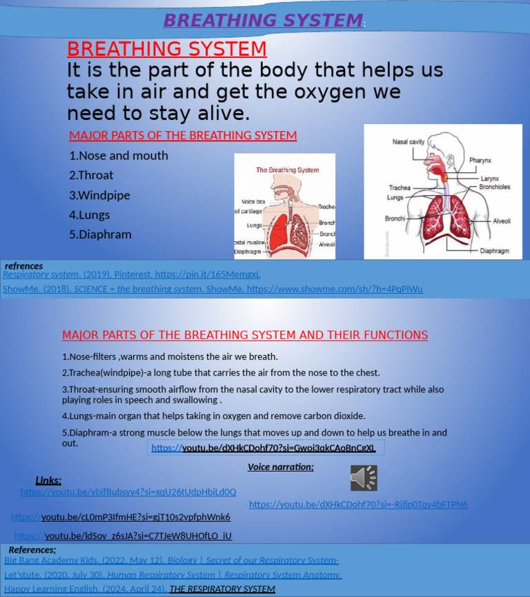 Major Parts of the Breathing System | PDF