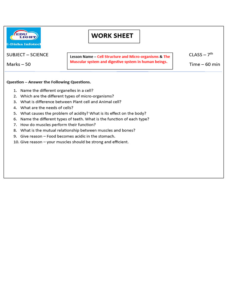 7th Grade Science Worksheet: Cells & Systems | PDF