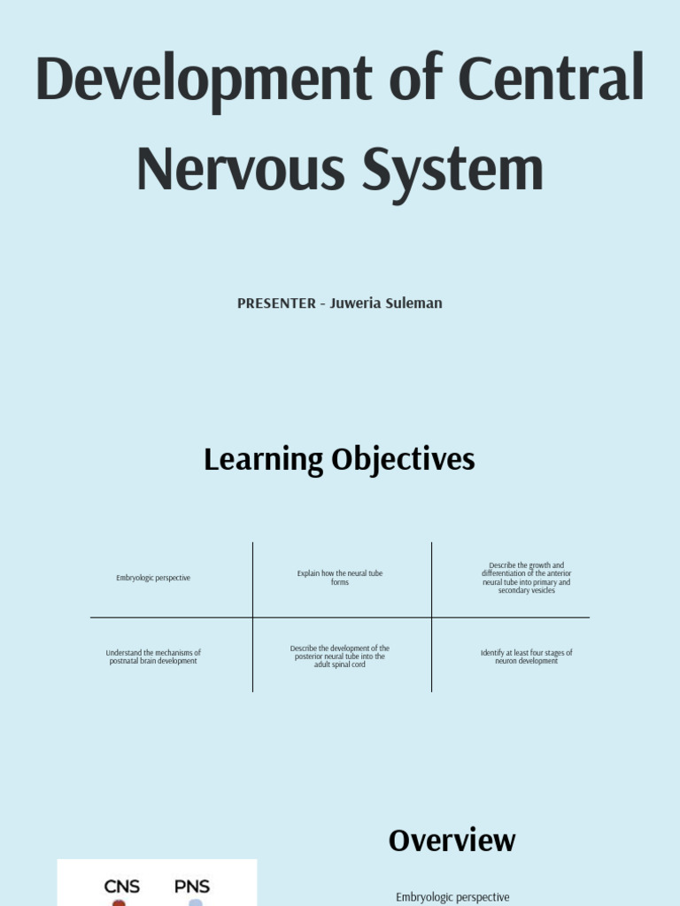 Development of Central Nervous System | PDF