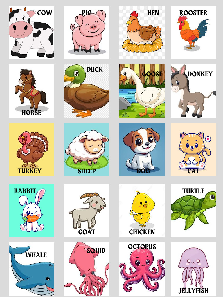 Animal Classification Chart | PDF