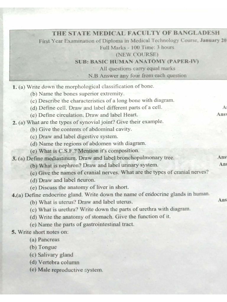 IHT 1st Year All Questions | PDF