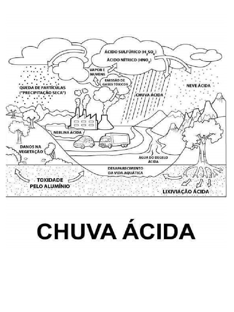 Adaptado Chuva Acida e Efeito Estufa | PDF
