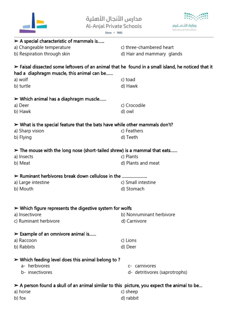 Mammals: Characteristics and Diversity Guide | PDF | Mammals | Marsupials
