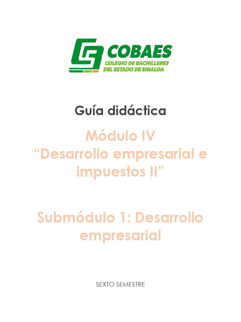 Guía de Desarrollo Empresarial y Finanzas | PDF | Plan de negocios ...