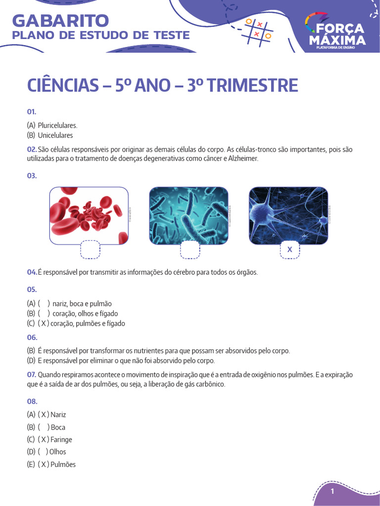 Gabarito de Ciências - 5º Ano | PDF