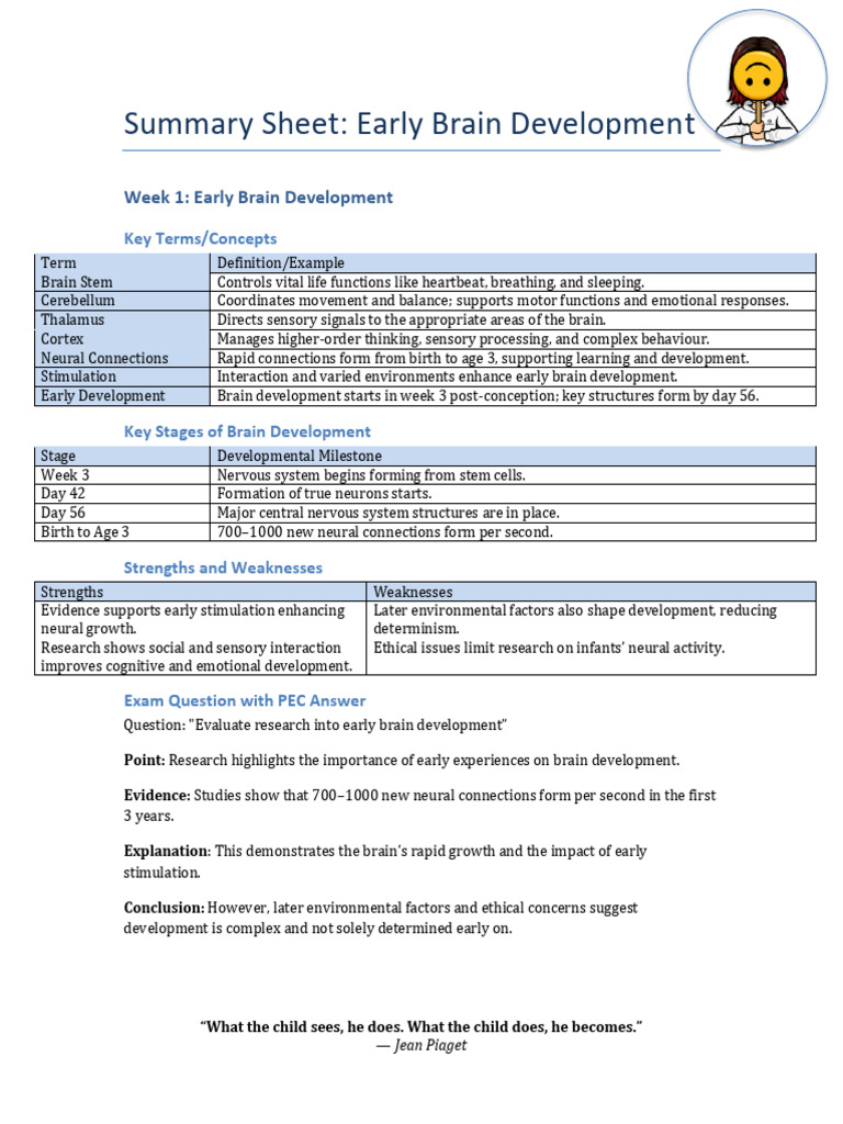 Early Brain Development Insights | PDF