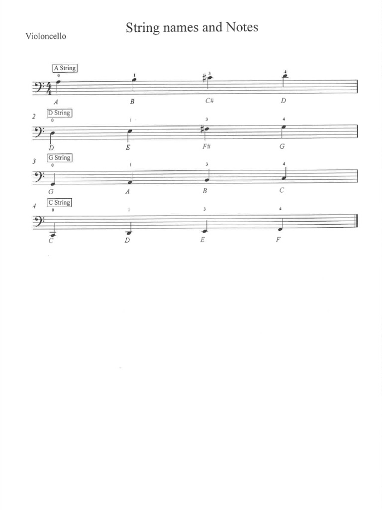 Cello Notes and Scales | PDF