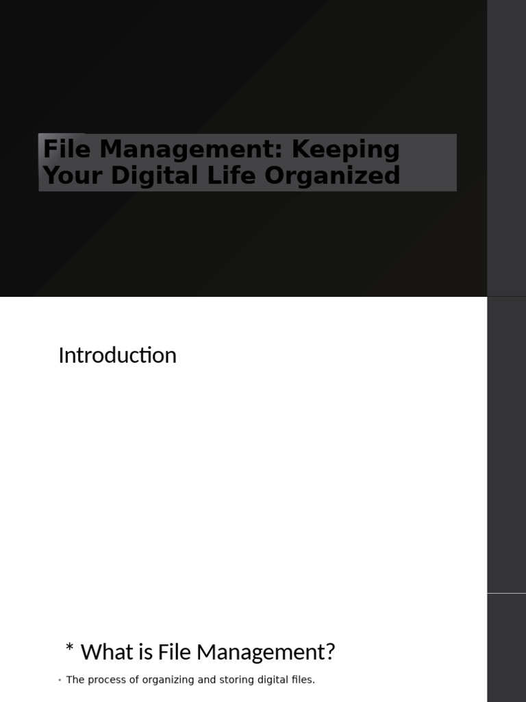 Effective File Management Tips | PDF