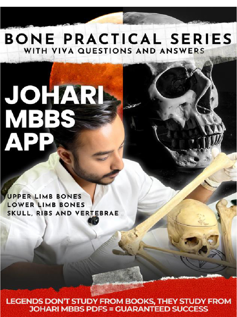 Human Ribs: Structure and Classification | PDF